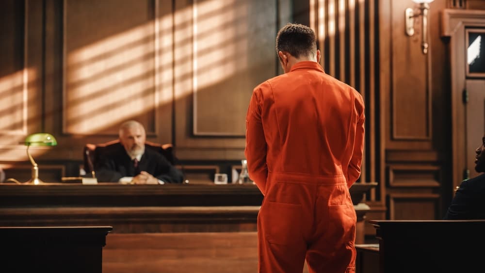 Court of Law and Justice Criminal Trial Proceedings